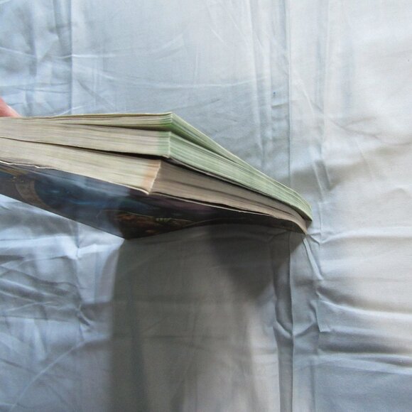 World of Warcraft Brady Games Battle Chest Guide Books Lot of 2 - Picture 5 of 10